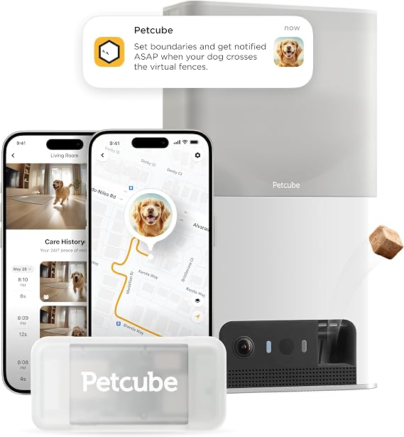 Petcube Bites 2 Lite pet camera with treat, retail box, and mobile app views.